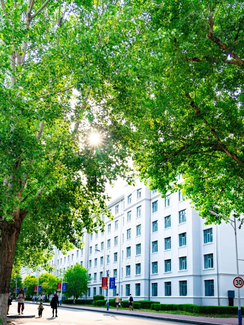 5V9A8858-已增强-降噪.jpg